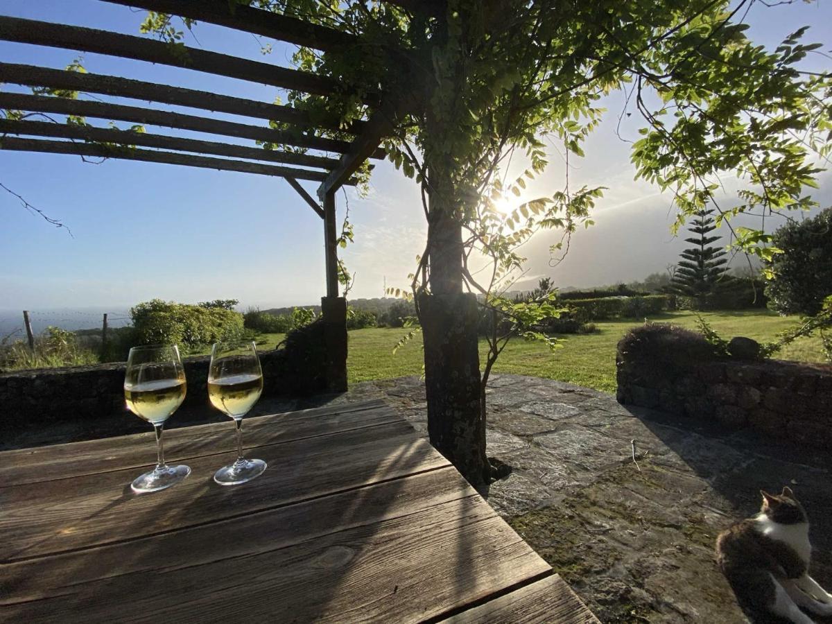 Quinta Perpetua, Casa Pico Villa Alto do Sul Eksteriør billede