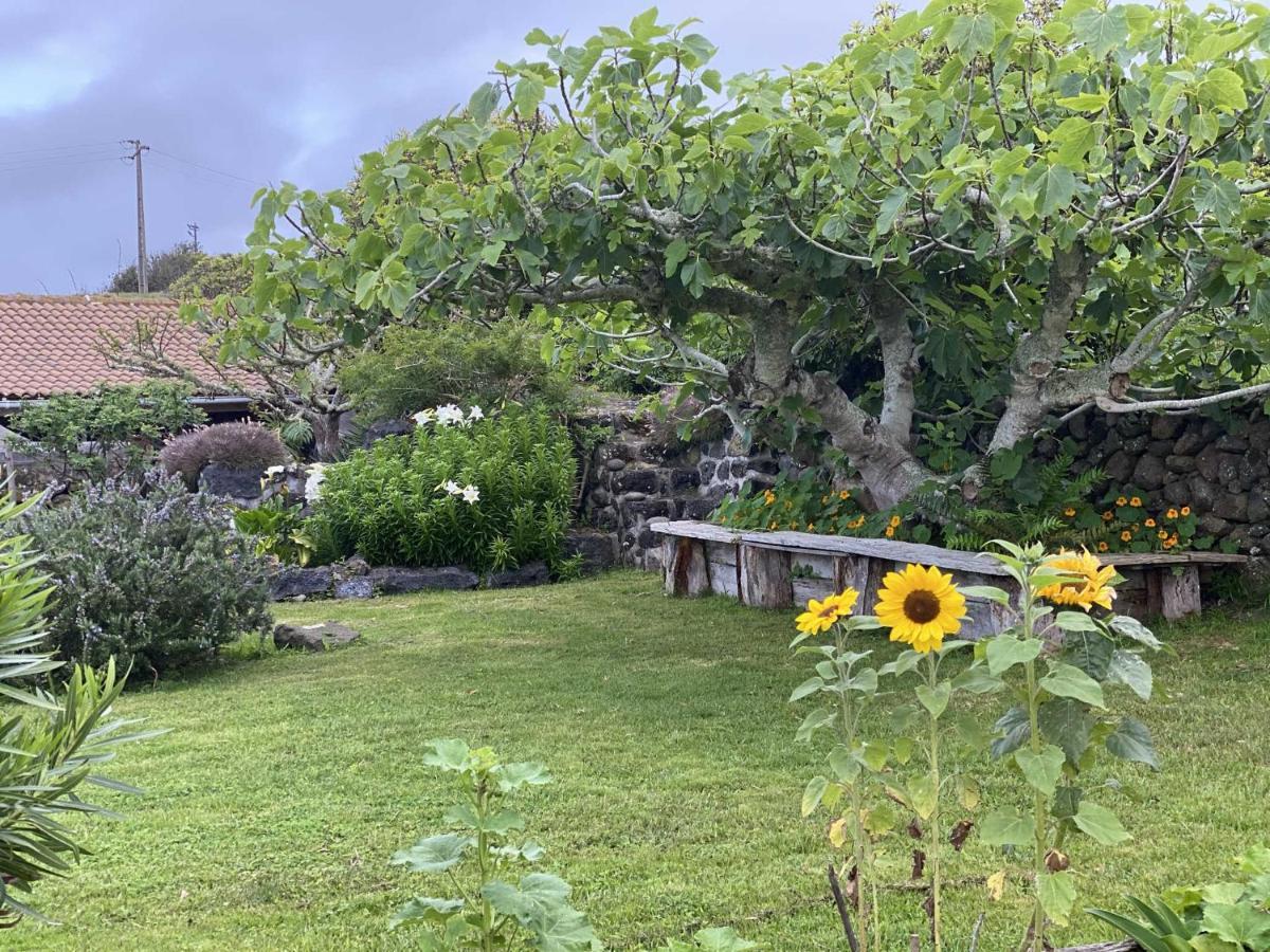 Quinta Perpetua, Casa Pico Villa Alto do Sul Eksteriør billede